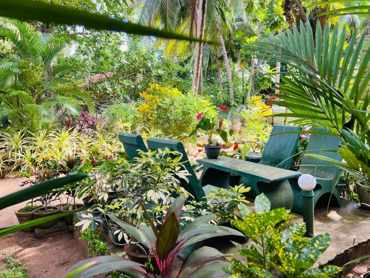 Sigiri Budget Homestay Sigiriya Eksteriør bilde