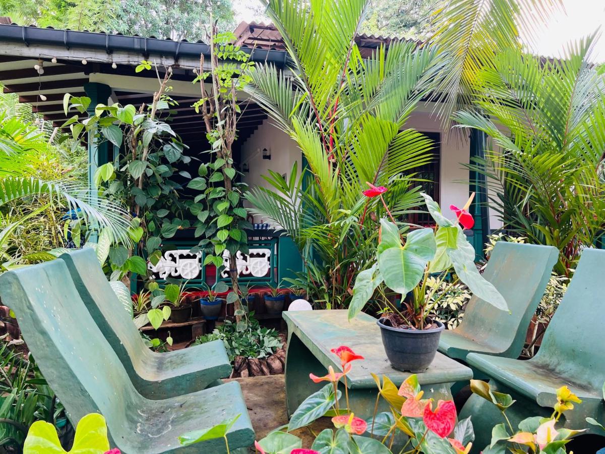 Sigiri Budget Homestay Sigiriya Eksteriør bilde