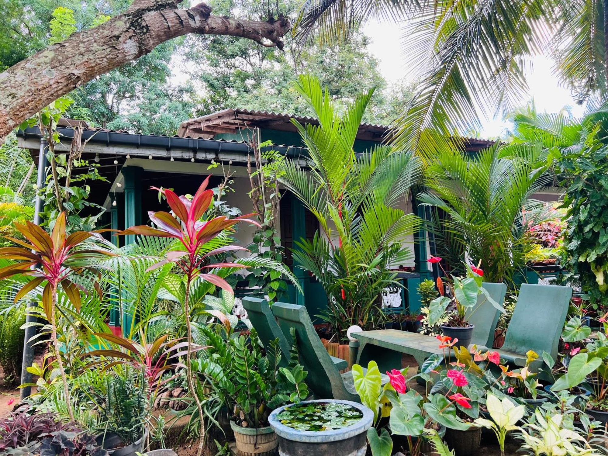 Sigiri Budget Homestay Sigiriya Eksteriør bilde